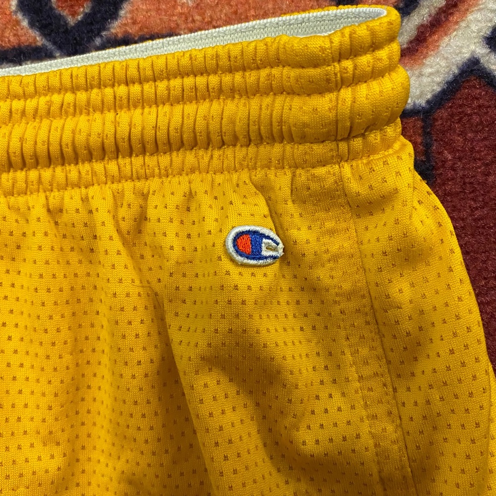 Champion shorts